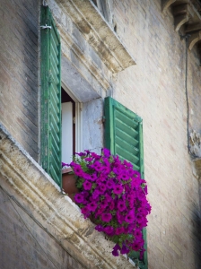 Piazza del Popolo 12