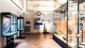 Musée Archéologique National